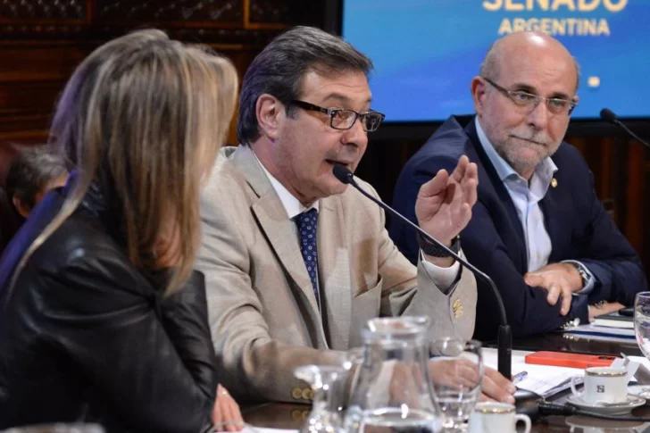 Avanzan en dictamen único en el Senado sobre cierre de minas