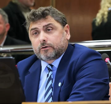 Chanampa, lanzamiento y críticas internas Chanampa, lanzamiento y críticas internas