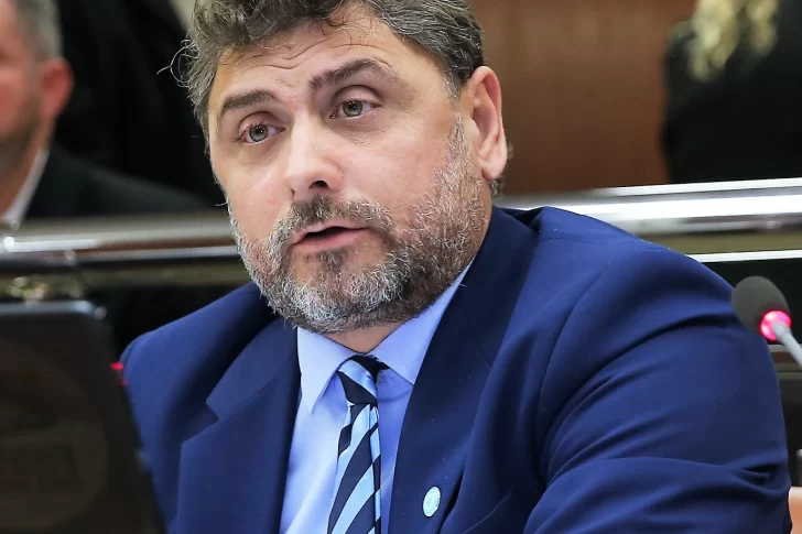 Chanampa, lanzamiento y críticas internas