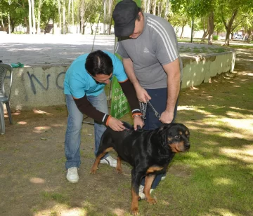 Harán un relevamiento para saber la cantidad de mascotas que hay
