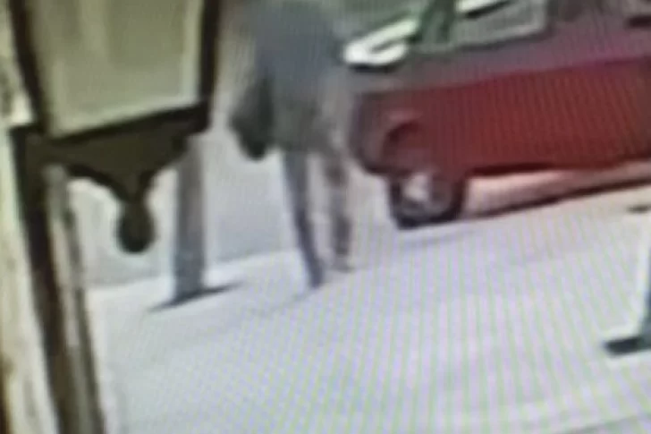 Denuncian que dos cuidadoras de una anciana enferma le robaron $450.000