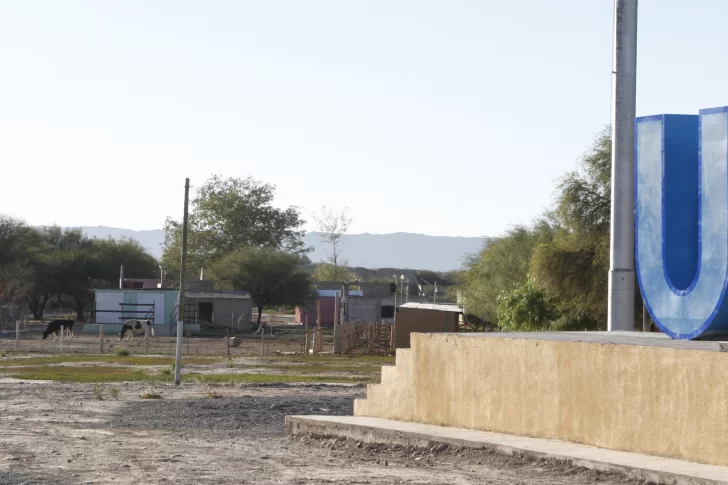 Ullum: cae el proyecto de sacrificar perros y ni siquiera habrá refugio