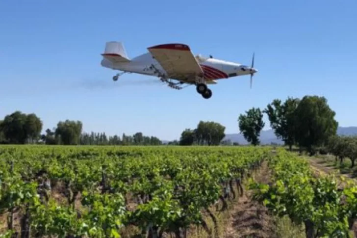 La campaña para combatir la Lobesia cubrirá 35.000 hectáreas de viñedos