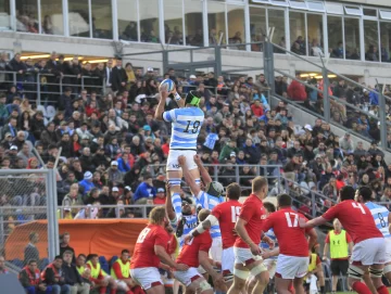 Los Pumas, en casa una semana