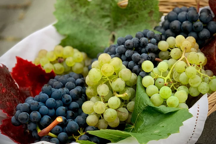 Usan la web para localizar las variedades de uva y mejorar la oferta y demanda del mercado