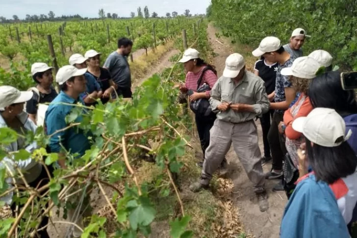 Capacitación en injertos