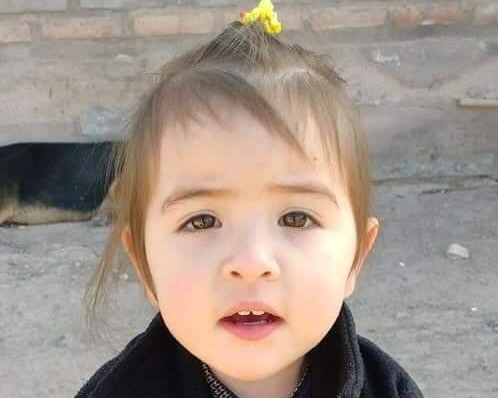 Murió la beba del accidente con auto en su casa