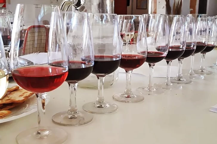 La Cata de Vinos muestra un nuevo interés de las bodegas por las zonas geográficas
