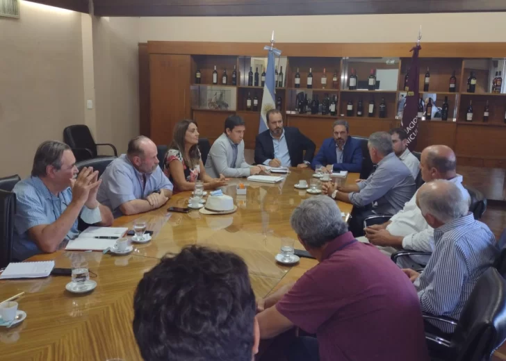 Bodegueros no fueron a reunión por precio de la uva y se demoran las definiciones