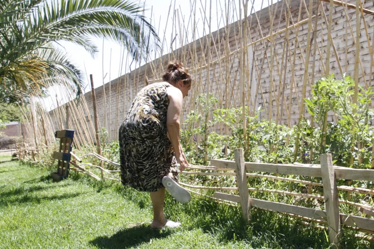 Para mantener verde una plaza, crearon una huerta y la cuidan entre los vecinos