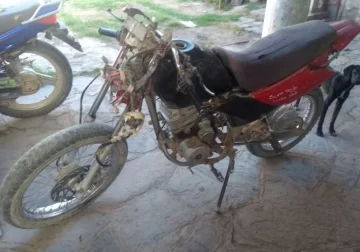Joven en moto murió al chocar un caballo que se le atravesó Joven en moto murió al chocar un caballo que se le atravesó