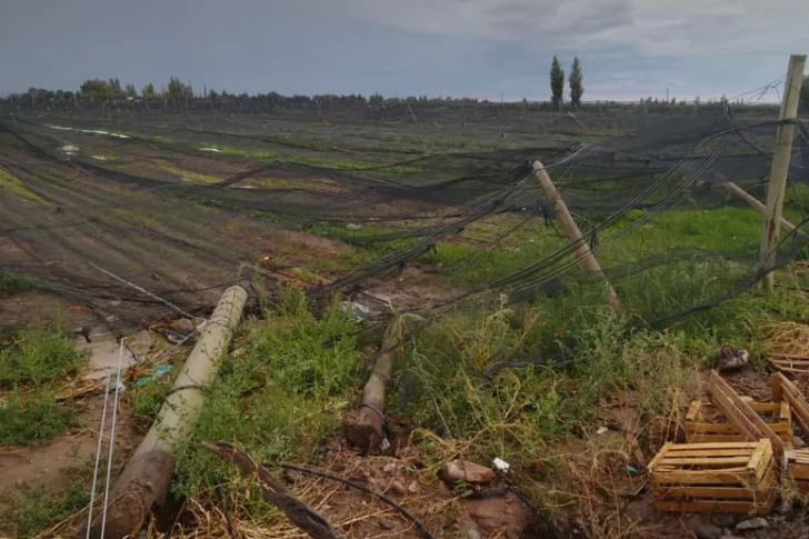 Son 280 las hectáreas declaradas con daños en Pocito por el granizo