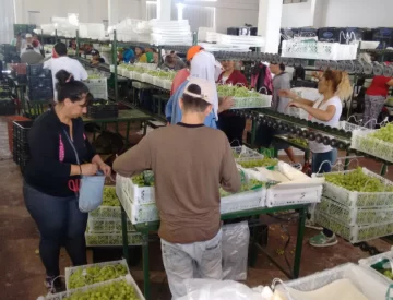 El sector privado no se sumará al bono de los jubilados y los gremios no lo exigirán