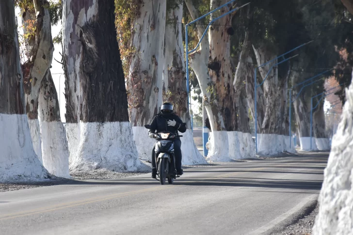 Pareja ganó un juicio luego de sufrir heridas al chocar en moto por la caída de una rama