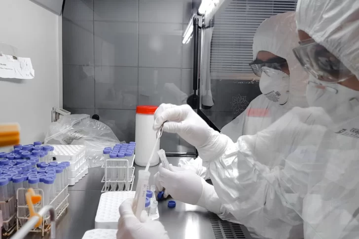 La provincia, en vigilancia para poder detectar nuevas variantes de coronavirus