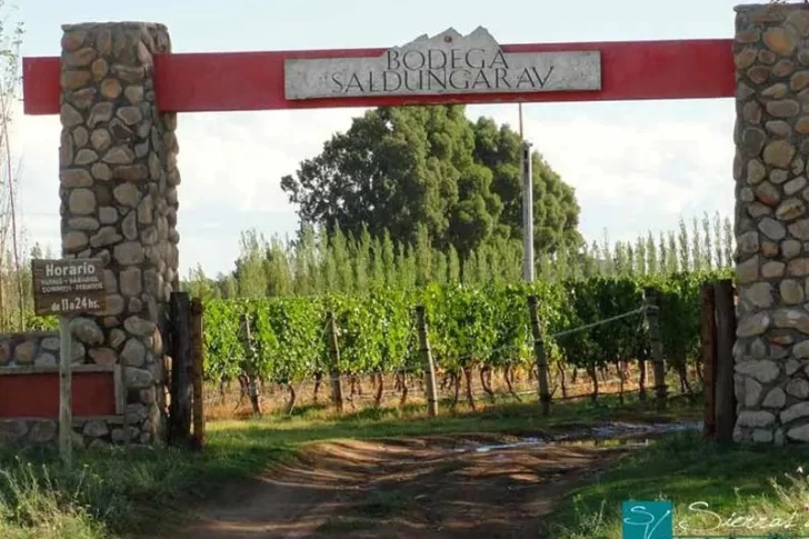 Buenos Aires busca recuperar la memoria como región vitivinícola