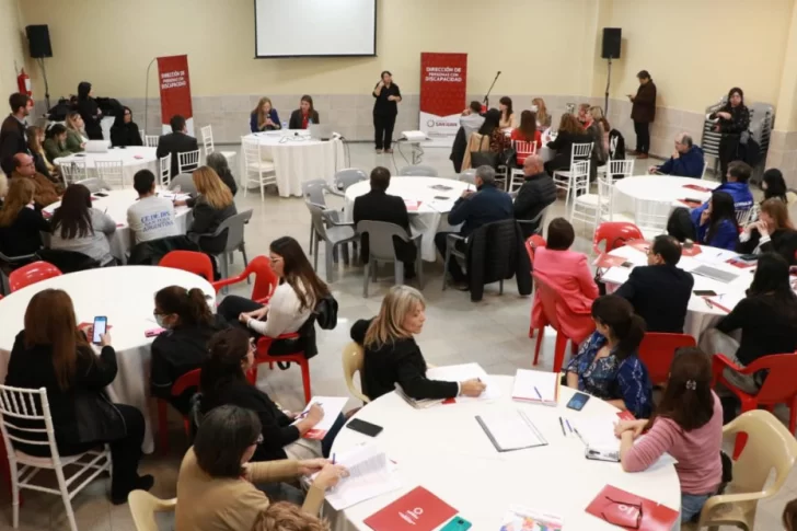 Aportes a Ley de Discapacidad