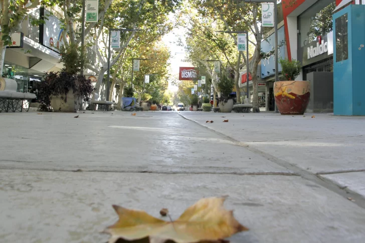 Cómo funcionan los servicios este viernes feriado en San Juan