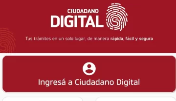 Hubo 44 accesos por hora para hacer trámites por celular