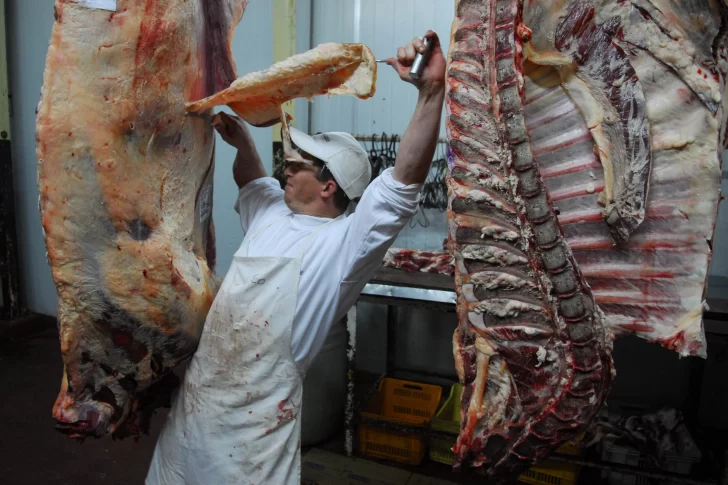 En agosto, bajó 1,4% el precio de la carne
