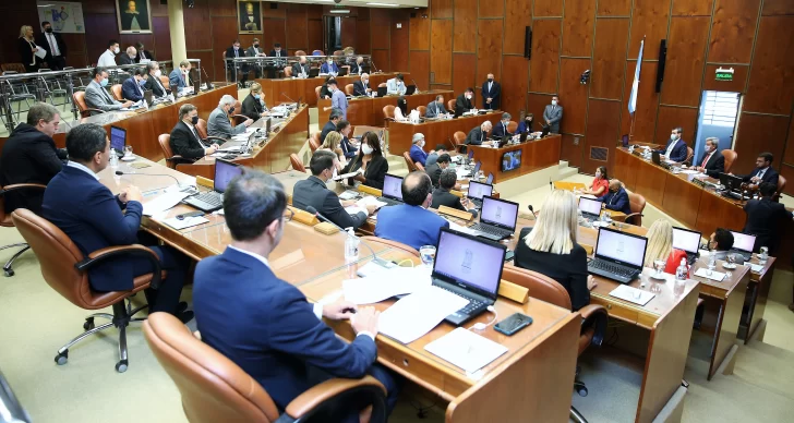 Diputados cerró la primera sesión con puja por los perros callejeros Diputados cerró la primera sesión con puja por los perros callejeros