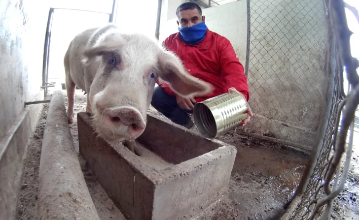 El trabajo silencioso de las agrotécnicas para no perder la producción de un año El trabajo silencioso de las agrotécnicas para no perder la producción de un año