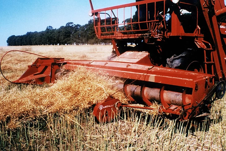 Paro del campo: “No habrá suba de precio ni desabastecimiento”, dicen