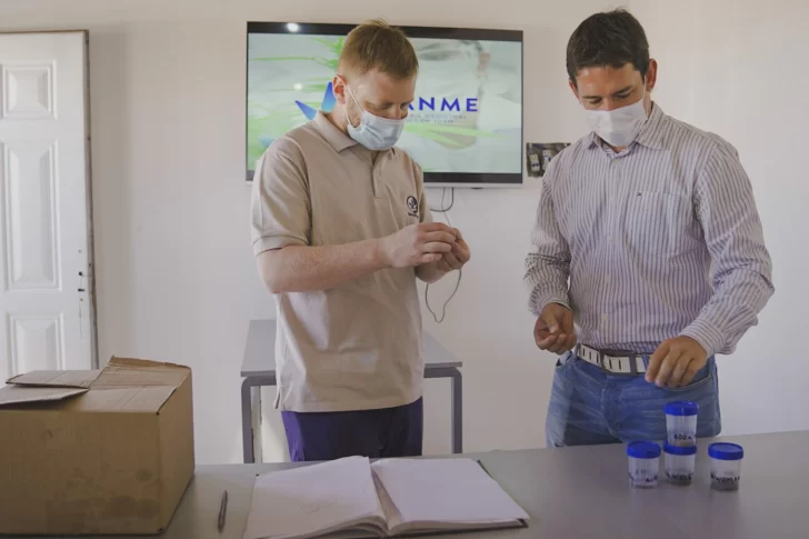 Confían en poder comercializar aceite de cannabis medicinal el año que viene