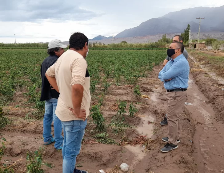 Para pedir ayuda a Nación avanzan con la emergencia agropecuaria