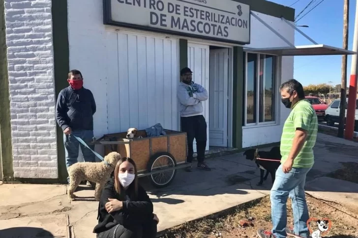 Dos municipios vuelven a esterilizar perros y gatos
