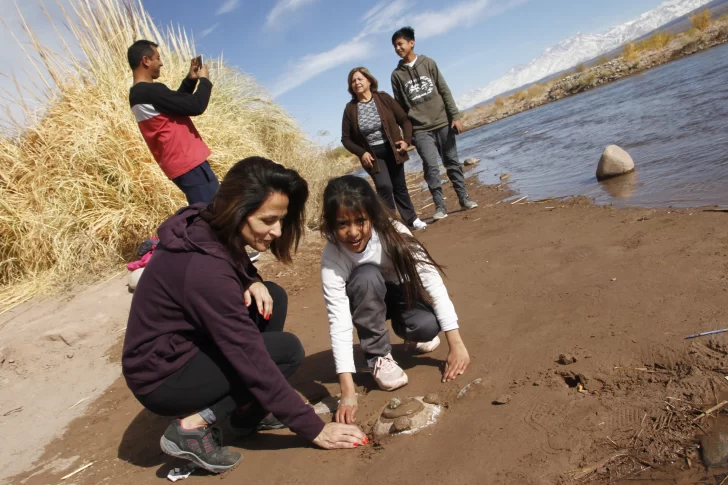 Castañeda: “Hay mucha expectativa porque ha sido de las actividades más golpeadas”