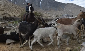 Por segundo año consecutivo no se harán las veranadas en los valles cordilleranos