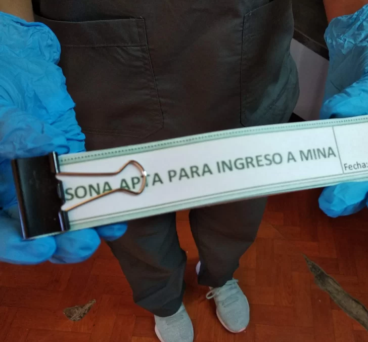Minero: estudian tres hipótesis y qué hizo en los últimos 2 meses Minero: estudian tres hipótesis y qué hizo en los últimos 2 meses