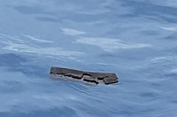 Creen haber hallado restos del avión que desapareció en Chile