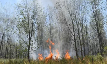 Emergencia ígnea para todo el país