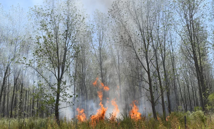 Emergencia ígnea para todo el país