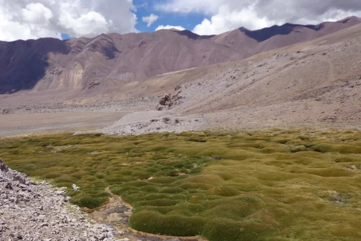 Toma impulso proyecto de humedales que inquieta al Gobierno y empresarios