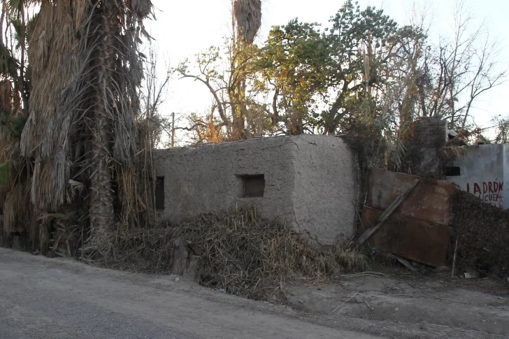 Ahora dicen que el futuro de la mujer que insulta depende de sus vecinos