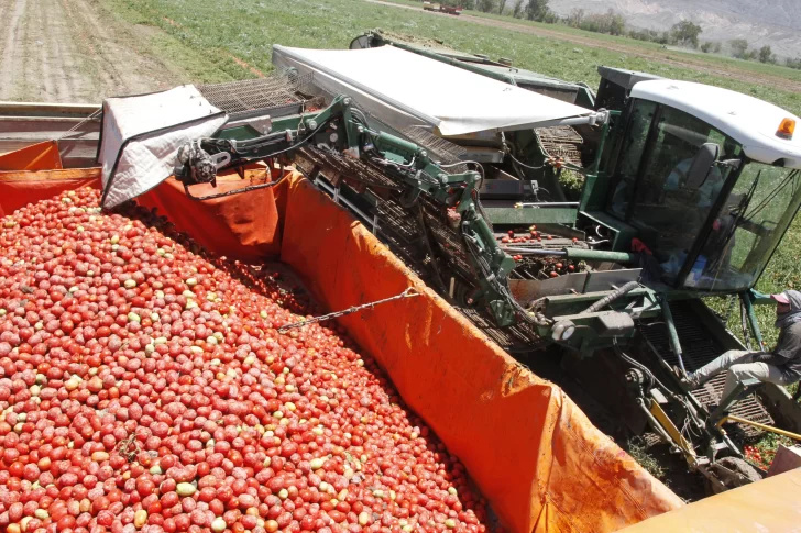 A 7 meses esperan que vuelvan los vuelos para confirmar el Congreso del Tomate