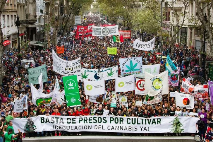 Luz verde para el autocultivo de cannabis para fines medicinales