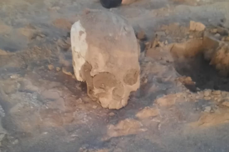 Confirman que el cráneo encontrado en Ullum contiene un orificio de bala