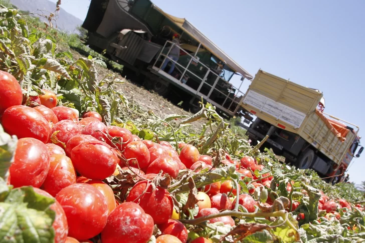Hay al menos tres cultivos en San Juan que podrían verse afectados por la falta de agua