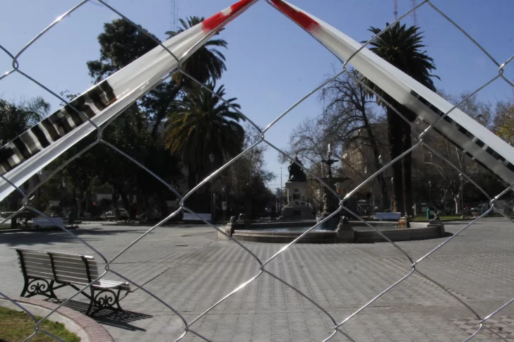 Aseguran que no talarán ningún árbol en las refacciones que harán en la Plaza 25