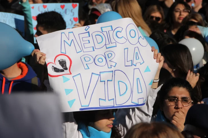 Protocolo de aborto no punible: Venerando afirmó que lo analizará “profundamente”