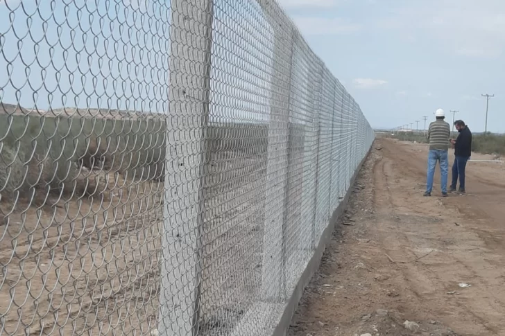 Este semestre harán un segundo llamado para cultivar cannabis