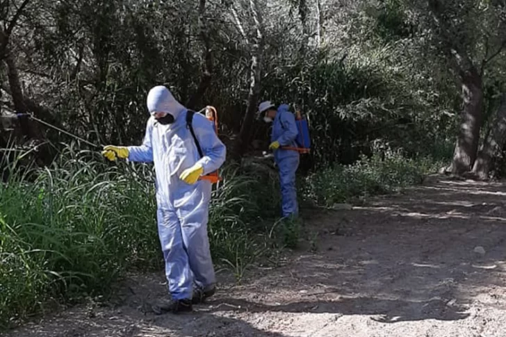 Encaran fuerte limpieza en la Quebrada de Zonda