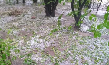 El temporal en Sarmiento afectó 70% de la producción e inundó varias casas