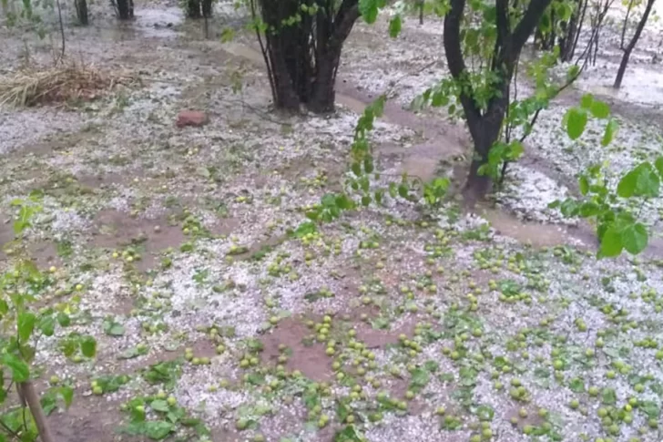 El temporal en Sarmiento afectó 70% de la producción e inundó varias casas