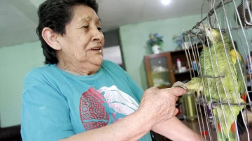 Le robaron su loro, luego de 15 días lo recuperó y gracias a eso volvió a reir Le robaron su loro, luego de 15 días lo recuperó y gracias a eso volvió a reir