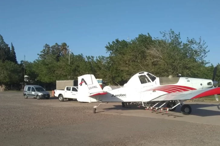 Campaña contra la Lobesia: los mismos fondos, pero más eficientes este año